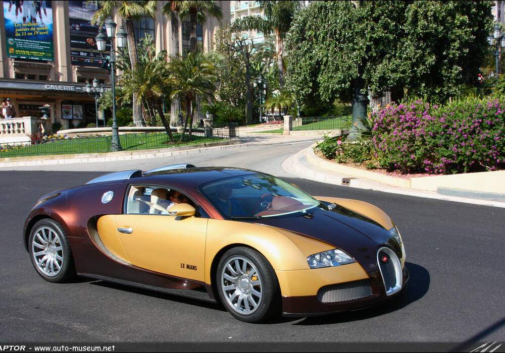 Fiche technique Bugatti EB 16.4 Veyron &laquo; Le Mans &raquo; (2009)