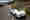 Bugatti EB 16.4 Veyron Grand Sport (2009-2012), ajout&eacute; par bertranddac