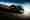 BMW M2 Coup&eacute; (F87) &laquo; Black Shadow Edition &raquo; (2018), ajout&eacute; par fox58