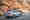 BMW 435i Gran Coup&eacute; (F36) (2014-2016), ajout&eacute; par fox58