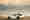 Porsche Boxster Bergspyder (2015), ajout&eacute; par fox58