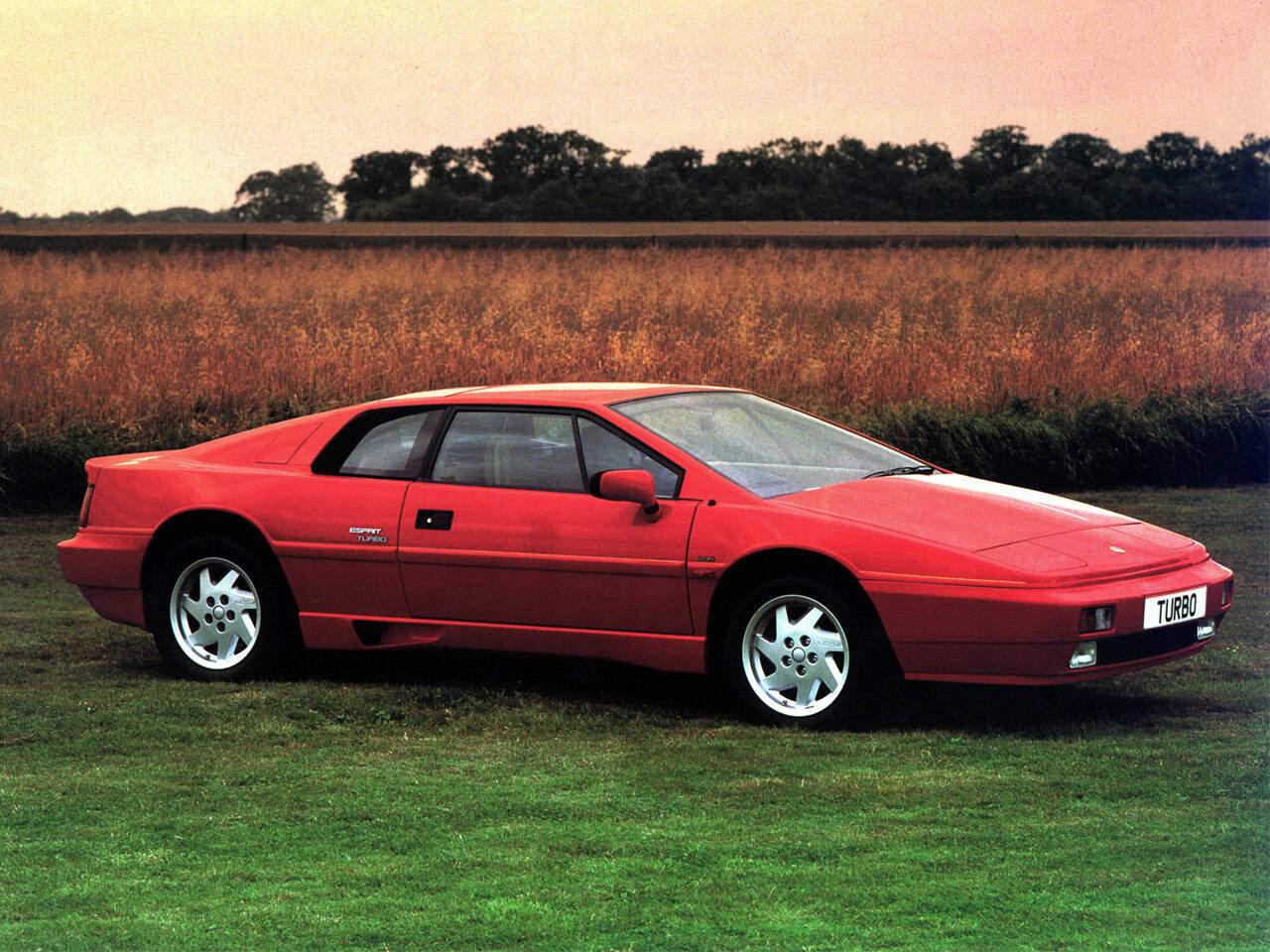 Lotus Esprit  IV Turbo (X180) (1988-1989),  ajouté par fox58