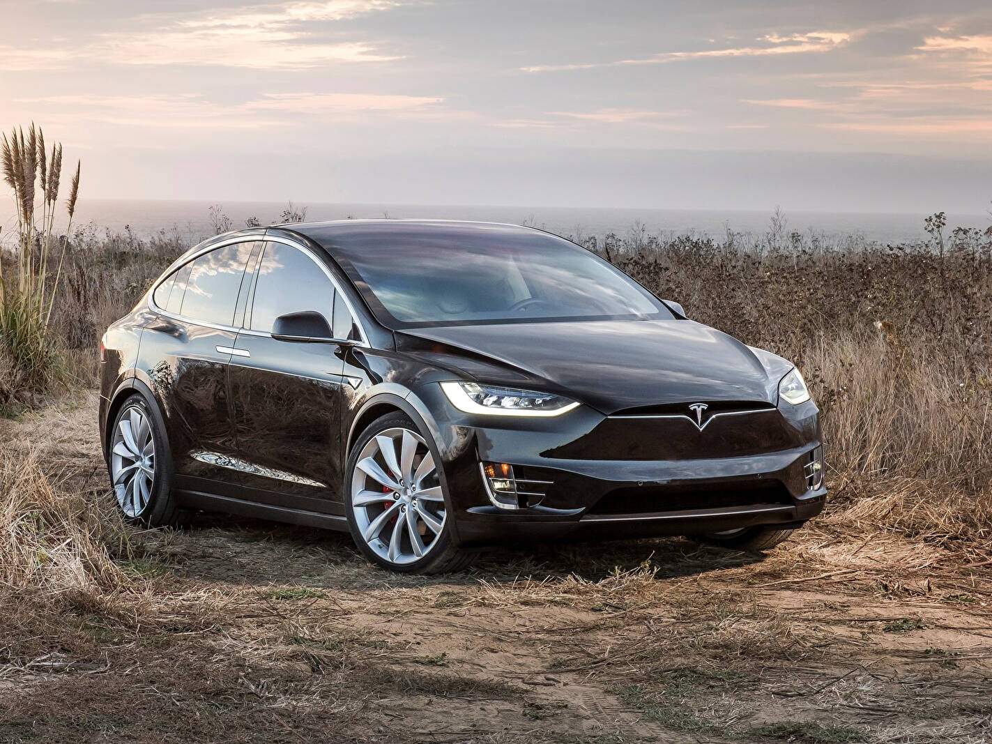 Tesla Motors Model X P90D (2016-2018),  ajouté par fox58