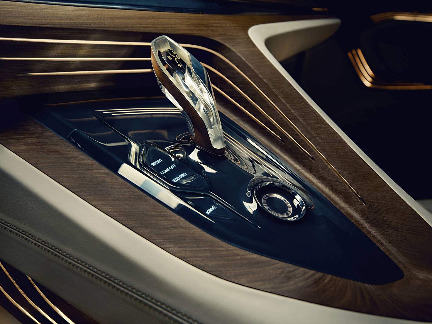 BMW Vision Future Luxury (2014),  ajouté par fox58