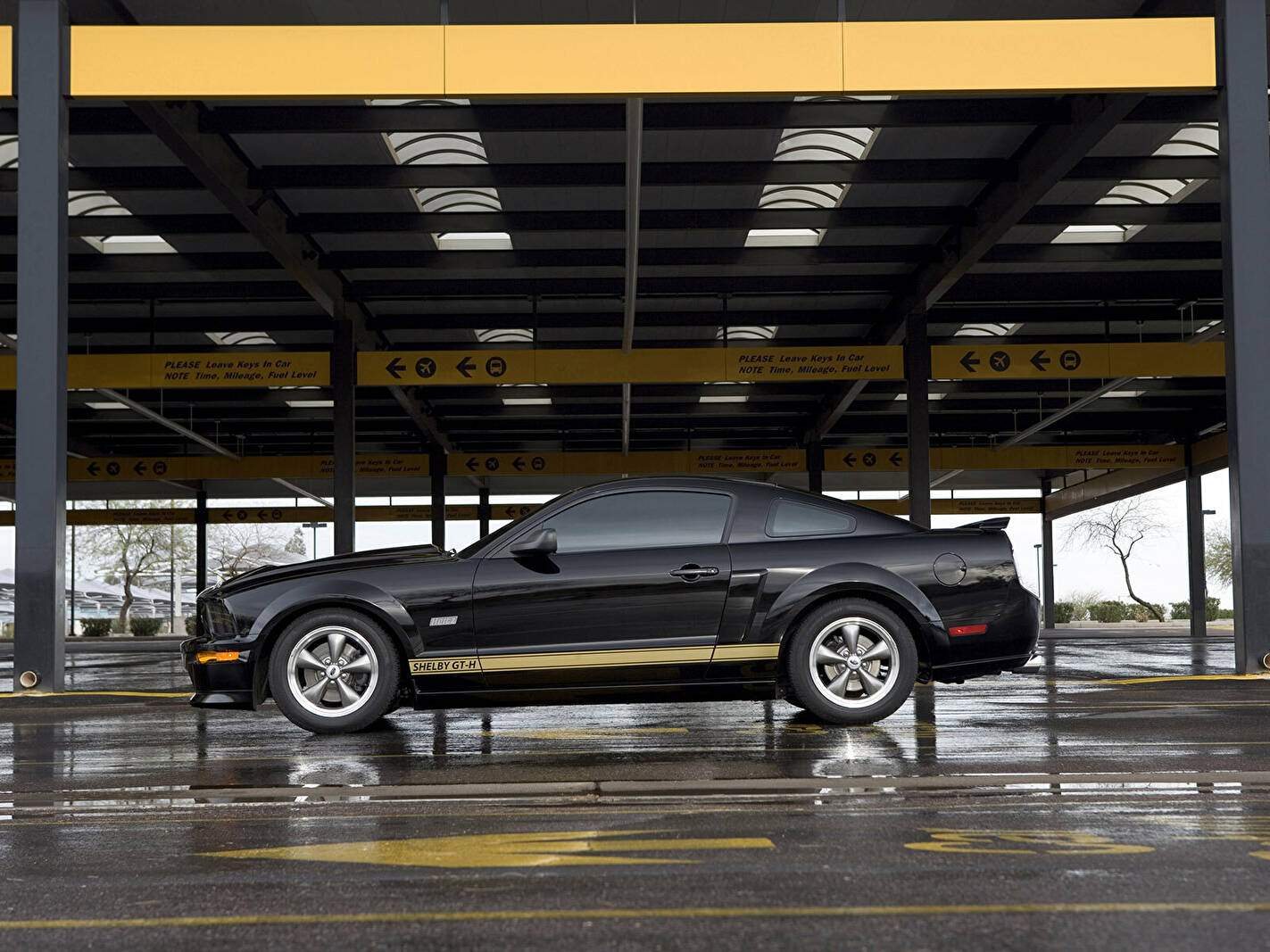 Shelby Mustang II GT-H (2006-2007),  ajouté par fox58