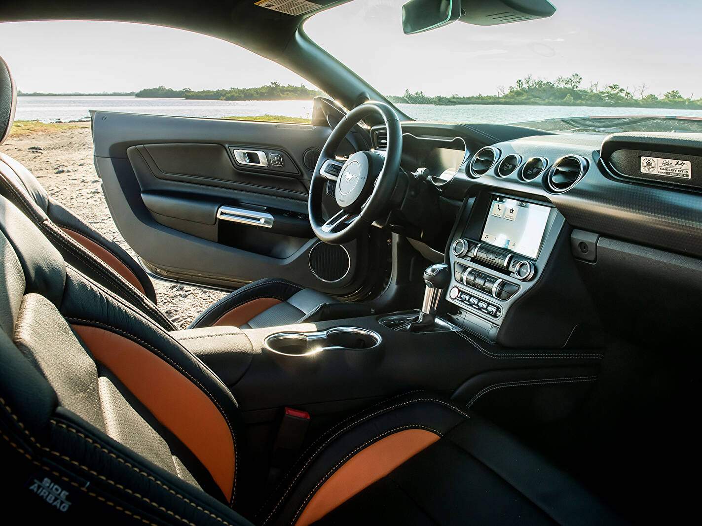Shelby Mustang III GT-S (2019),  ajouté par fox58
