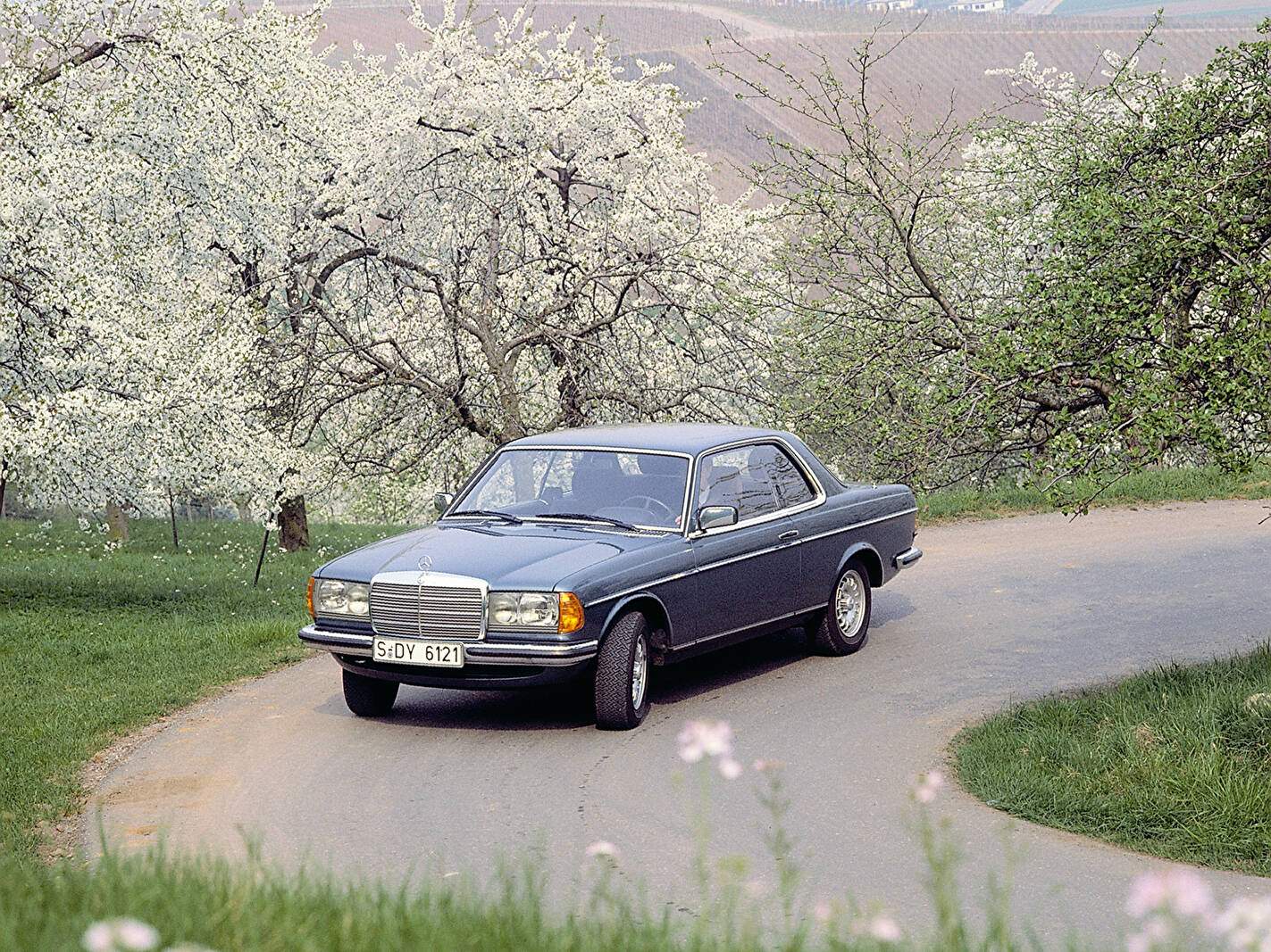 Mercedes-Benz 230 CE (C123) (1980-1985),  ajouté par fox58