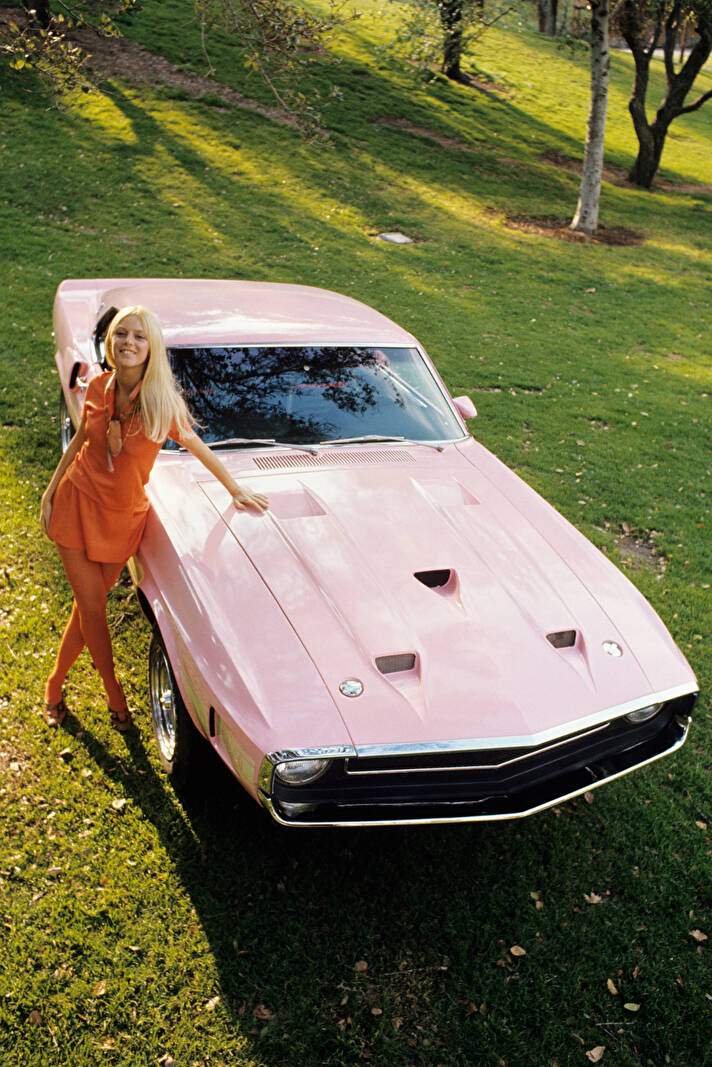 Shelby Mustang GT500 « Playmate Pink » (1969),  ajouté par fox58