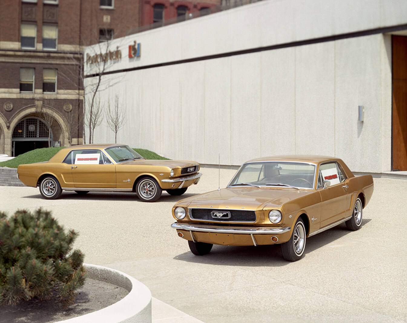 Ford Mustang Hardtop 289ci 205 « Anniversary Gold Edition » (1966),  ajouté par fox58