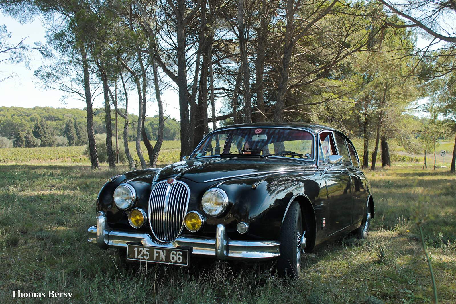 Jaguar MK II 3.4 (1959-1967),  ajouté par fox58